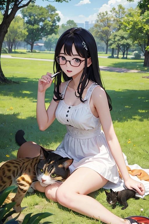 Highest quality、masterpiece、High sensitivity、High resolution、Detailed Description、Slender women、Glasses、Summer clothes、Playing with cats、