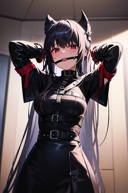 represents a gagged and tied girl