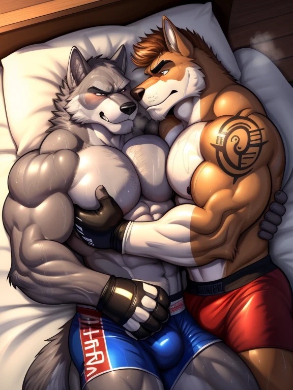 Duo male(Gray Wolf vs Brown Wolf, handsomes, handsome hairstyle, tails, Thick eyebrows, detailed face), gay(Lying down, cuddling embraced on his chest, on a bedroom match), hot(Shirtless), handsomes(They are handsomes, correct anatomy), musculosos(Big muscle bodies, Six packs, muscle abs, big pecs, muscle backs, muscle legs), sweaty(very sweaty wet bodies, shiny sweat), tatuajes(they have tattoos), grumpy(Both have an grumpy expression, grumpy teeths, steaming breath), UFC gloves(They both are wearing UFC gloves), UFC boxers(they both are wearing ufc boxers), Hight resolution, by(Zourik:1.1)