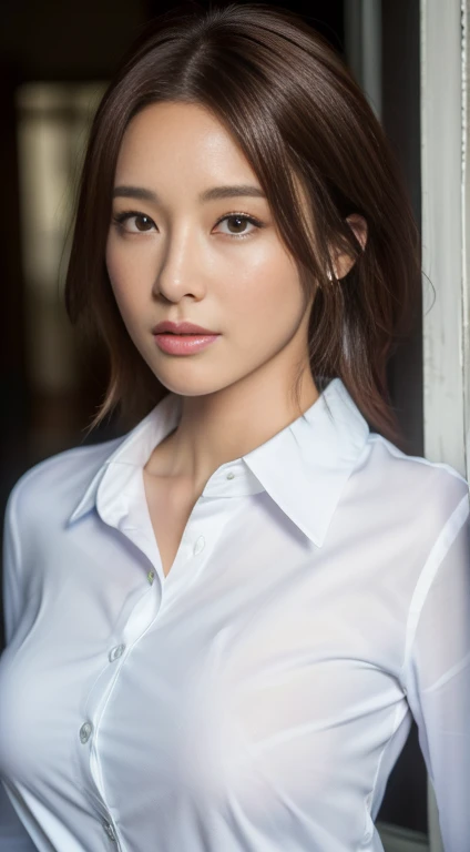 (masterpiece, best quality), soothing tones, muted colors, high contrast, natural skin texture, soft light, sharp, looking at viewer, Nature soft drop breasts, pale skin, transparent and delicate face, bare face, without makeup, nsfw,
cement brick wall background ,old cement wall background, half body photo, dark theme ,(business shirt:1.2), open shirt,