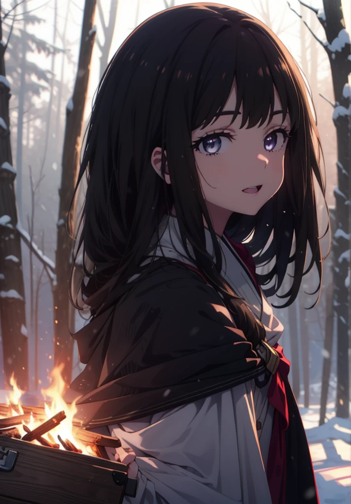 Takiuchi, Inoue Check, Long Hair, bangs, Black Hair, (Purple eyes:1.2),smile,
Open your mouth,snow,Bonfire, Outdoor, boots, snowing, From the side, wood, suitcase, Cape, Blurred, forest,  nature, Squat,  Cape, winter, Written boundary depth, Black shoes, blue Cape break looking at viewer, Upper Body, whole body, break Outdoor, forest, nature, break (masterpiece:1.2), Highest quality, High resolution, unity 8k wallpaper, (shape:0.8), (Beautiful and beautiful eyes:1.6), Highly detailed face, Perfect lighting, Extremely detailed CG, (Perfect hands, Perfect Anatomy),
