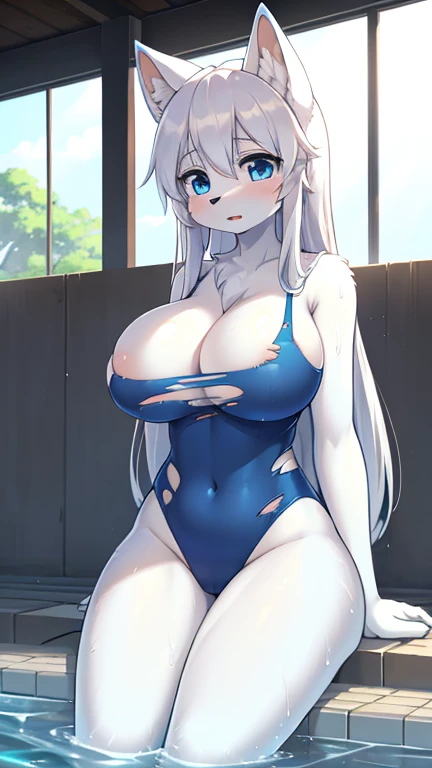 best quality, best resolution, (fluffy anthro furry), arctic fox girl, silver hair, blue eyes, (white fur), long straight hair, big breast, sophisticated manner, (skin tight pure dark blue one piece swimsuit that is torn to pieces), sitting in water, looking at clothing, indoor schoolpool, sun rays, wet, shocked