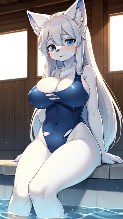 best quality, best resolution, (fluffy anthro furry), arctic fox girl, silver hair, blue eyes, (white fur), long straight hair, big breast, sophisticated manner, (skin tight pure dark blue one piece swimsuit that is torn to pieces), sitting in water, looking down, indoor schoolpool, sun rays, wet, totally shocked