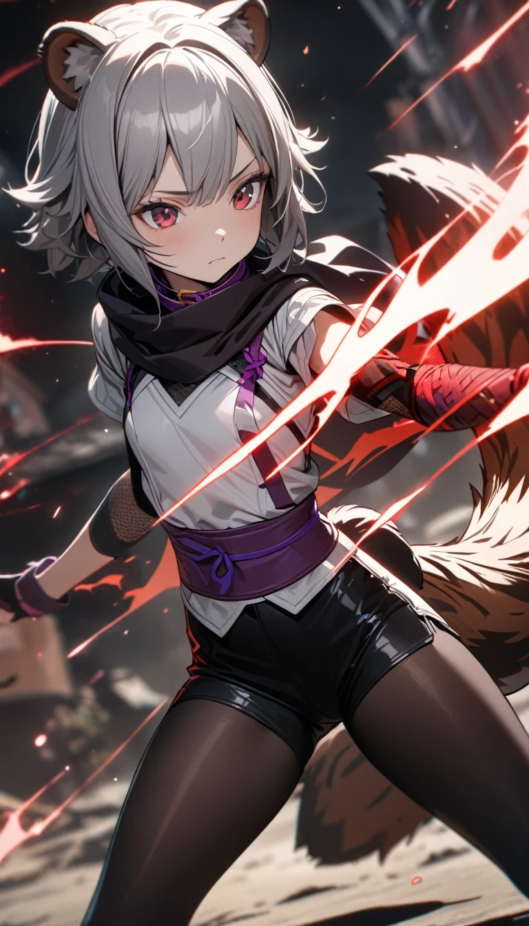 young girl, short gray hair, dark red eyes, raccoon ears, raccoon tail, birge hood, black scarf, irange ninja form, purple collar, short sleeves, black tight shorts, fushnet tights, flat chest, Masterpiece, best quality, Full HD, 8k, ultra details, great graphic