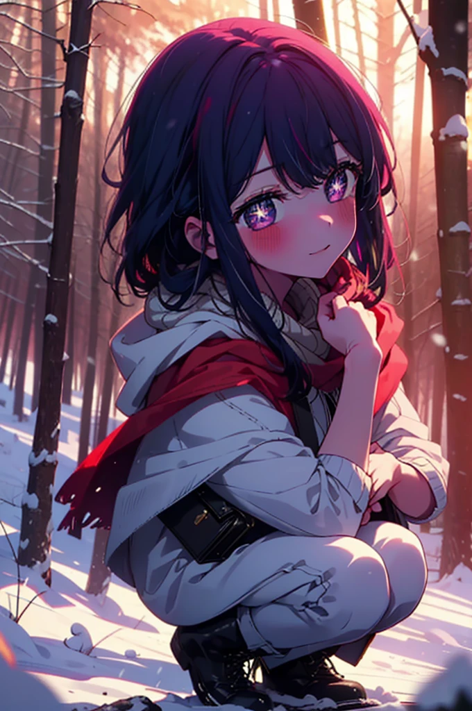 aihoshino, Ai Hoshino, Long Hair, bangs, (Purple eyes:1.1), Purple Hair, (Symbol-shaped pupil:1.5), smile,,smile,blush,white breath,
Open your mouth,snow,Ground bonfire, Outdoor, boots, snowing, From the side, wood, suitcase, Cape, Blurred, , forest, White handbag, nature, Squat, Mouth closed, Cape, winter, Written boundary depth, Black shoes, red Cape break looking at viewer, Upper Body, whole body, break Outdoor, forest, nature, break (masterpiece:1.2), Highest quality, High resolution, unity 8k wallpaper, (shape:0.8), (Beautiful and beautiful eyes:1.6), Highly detailed face, Perfect lighting, Extremely detailed CG, (Perfect hands, Perfect Anatomy),