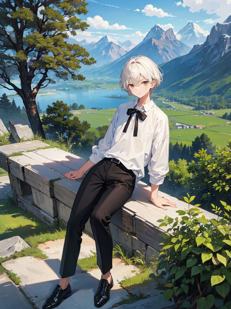 (masterpiece, top-quality, Extremely high quality, high-level image quality) 1boy, brown eyes, short white hair, detailed eyes, mountain background, trees, simple clothes, black pants
