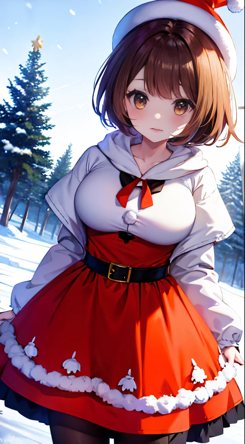 Brown hair，Orange Eyes，short hair，Duck Christmas Hat，Christmas costumes，Large Breasts，Xiaoyou【Pokemon】，Beauty，British university students，Snow background