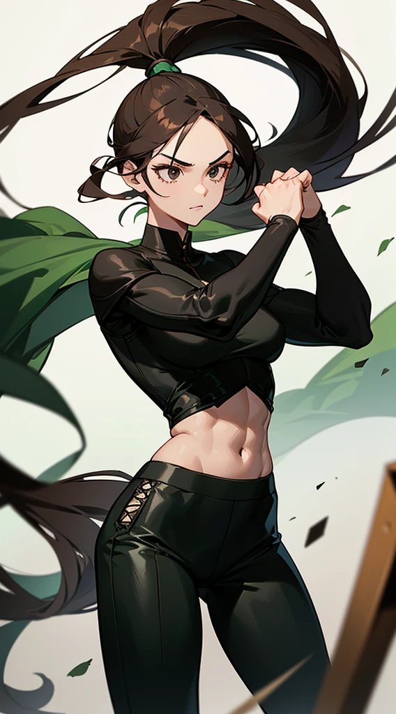 beautiful woman, dark brown hair, long straight hair in a ponytail, ((crew cut: 1)), black eyes, fair skin, ((muscular: 1)), female, 28 years old, boxer, wearing a blouse green, black pants, black gauntlets on his hands, possesses the spirit of the black turtle