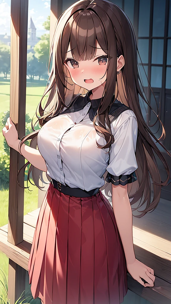 (Masterpiece, Top quality: 1.5), (1 girl, solo :1.2),  (cute design short-sleeved shirt, midi skirt:1.4), (large breasts:1.4), standard weight, (brown hair:1.4), (airy hair, wavy hair:1.3), long hair ,asymmetry bangs, swept bangs, 12 year old, angry:1.4, (flustered:1.3), sexual climax:1.3, beautiful scene of outdoor, dynamic pose, magnificent panorama view, wet:1.1, open mouth