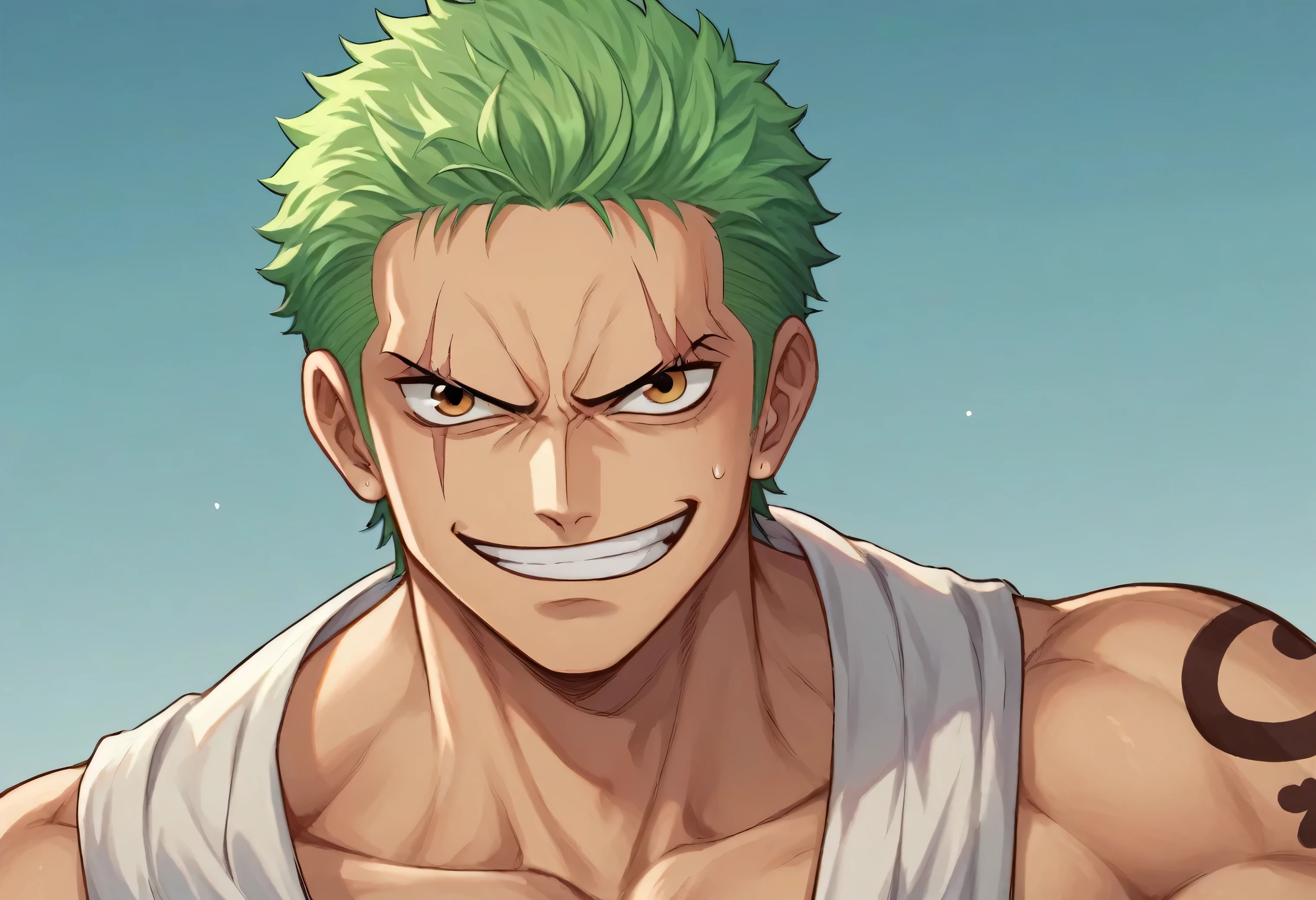 score_9, score_8_up, score_7_up, source_anime, 1boy, one piece, zoro, green hair, scar over left eye, intense expression, confident, determined, strength, IncrsPunchMeme, incoming punch, smirk, dramatic, fierce, Selfi, young kid Funny