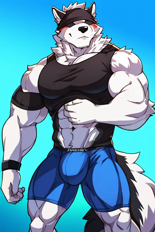 Alaskan Malamute Dog, muscular, furry, with face covered, black hooded sleeveless shirt, blue underwear