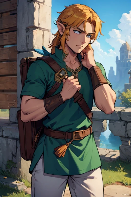 whole body, Legend of Zelda game characters, Zelda comics, male, Zelda Characters FF, Ian Mack&#39;s style, Chen Taimei, Fashionable clothing design, Horror Dungeon Description, Jean Baptiste Monge, Academics