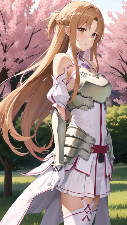 masterpiece, best quality, highres, ddasuna, long hair, brown hair, hair ribbon, brown eyes, bare shoulders, (no white armor), (no armored dress), detached sleeves, white gloves, white thighhighs, standing, grass, field, (no panties), (spread legs:1.5), (no skirt)