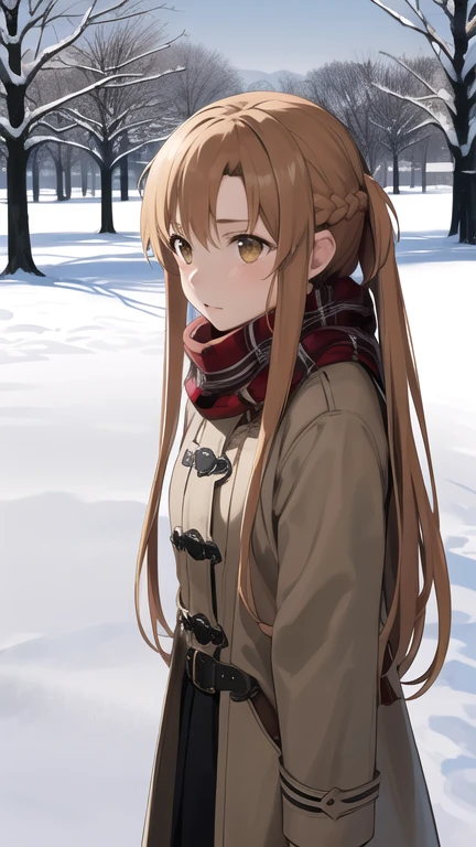 masterpiece, best quality, highres, aaasuna, long hair, brown hair, braid, brown eyes, coat, scarf, winter clothes, snow, outdoors,