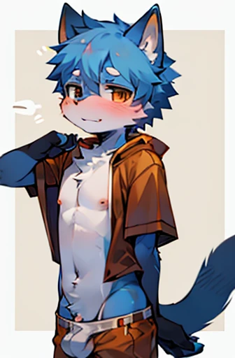 domestic cat,felid,feline,felis, mammal,anthro,biped,blue body,blue fur,blush,claws,clothed,clothing,countershade face,countershade fur,countershade torso,countershading,dipstick tail,erection,erection under clothing,eyebrows,fingers,fur,kemono,looking at viewer,male,markings,navel,nipples,orange clothing,orange underwear,shota,solo,tail,tail markings,underwear,young,young anthro,young male,absurd res,hi res