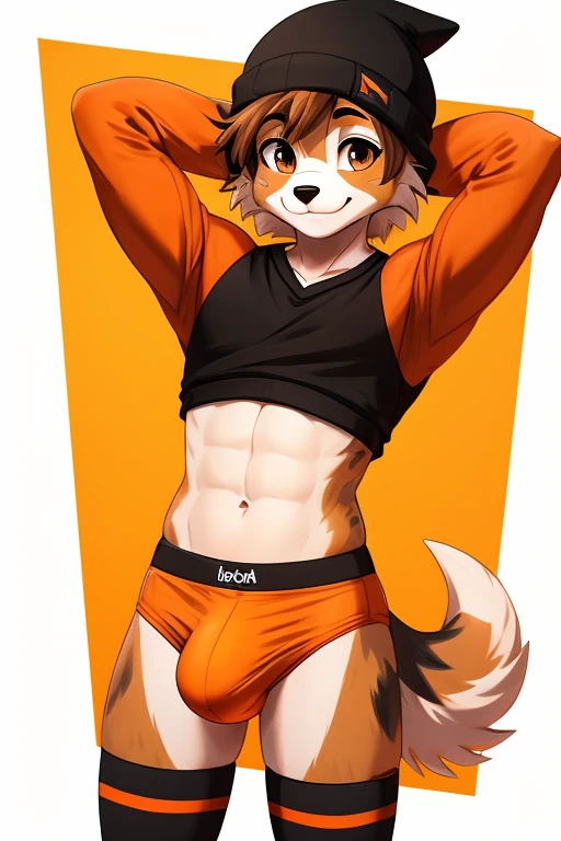 ((SFW)) ((18, cute, furry, Australian Shepherd dog boy femboy wearing orange, thin, low panties with a large penis bulge, black beanie, and black and orange striped thigh-high socks, best quality)) ((hands behind head)) ((exposed hips))