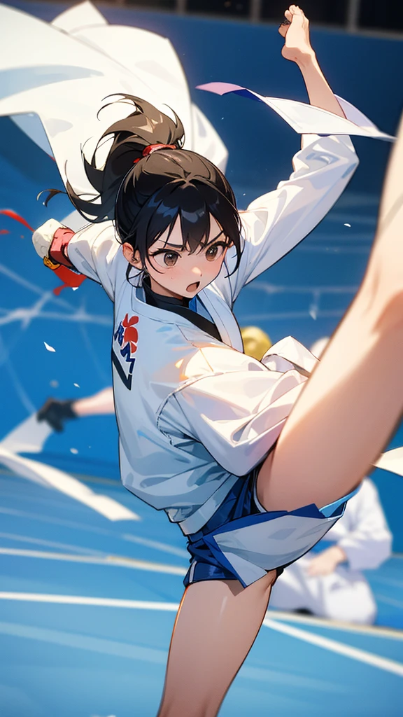 Taekwondo competition at the Olympics。