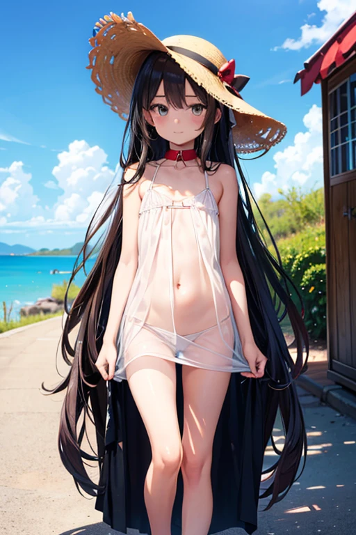 (masterpiece), Highest quality, One Girl, , pretty girl, Flat Chest, Black Hair, Very long hair, She is looking towards the viewer, She is wearing a bright red leather collar., 
She wears a white camisole, Pure white clothes, Clothes without collars, She is wearing a sleeveless camisole, Exposed shoulders, The clavicle is visible, The material of her clothes is very thin, The camisole is sheer, The naked body is clearly visible, Her nipples are pressed against the fabric of her dress, (Erect nipples showing through the fabric), 
She doesn't wear a skirt, The lower half is naked, She is exposing her waist, She is exposing her hips, She doesn't wear underwear, She&#39;s not wearing a bra, She&#39;s not wearing panties, her pussy is visible, She purposely shows off her pussy, she has no pubic hair, 
She stands with her legs spread, Open your knees, Wearing a straw hat, She is barefoot and wearing sandals, 
Very shy, blush, 
She is walking on the sidewalk, Blue sky behind, The men are walking behind her., 