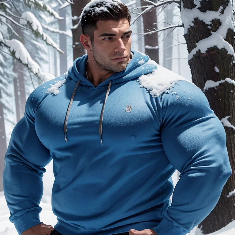 a very handsome young man, covered in snow, massively muscular, with massively large muscles, with massively large biceps, with massively large arms, wearing a simple blue sweatshirt with long sleeves, in a snowy forest