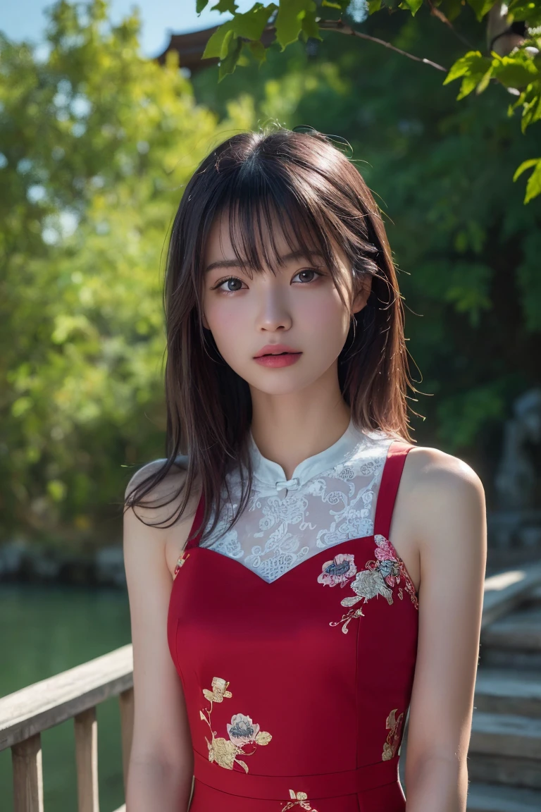 (Highest quality:1.4),(masterpiece:1.4),(Realistic:1.4),(Realistic:1.2),(超High resolution, RAW Photos:1.4),(High resolution, Very detailed:1.2),(8k:1.2),Movie Photos,a photo of a dark-haired,One Girl,alone,wear ,((China dress))、((Upper Body:1.3))