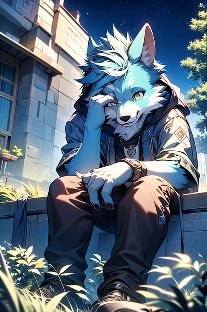 8k, Super Detail, precise, best quality,Seventeen--old ewolf,Cyan hair,Wearing an indigo sweatshirt,Rich plush texture,Realistic style,Sitting on the grass,look up to the sky,The sky is full of stars,night,Detailed background