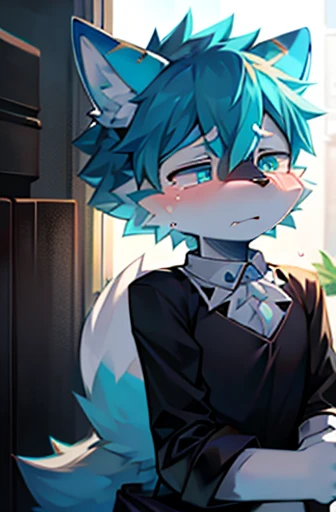 Cyan male furry wolf with white fur, sad crying, wearing a black blouse and black pants