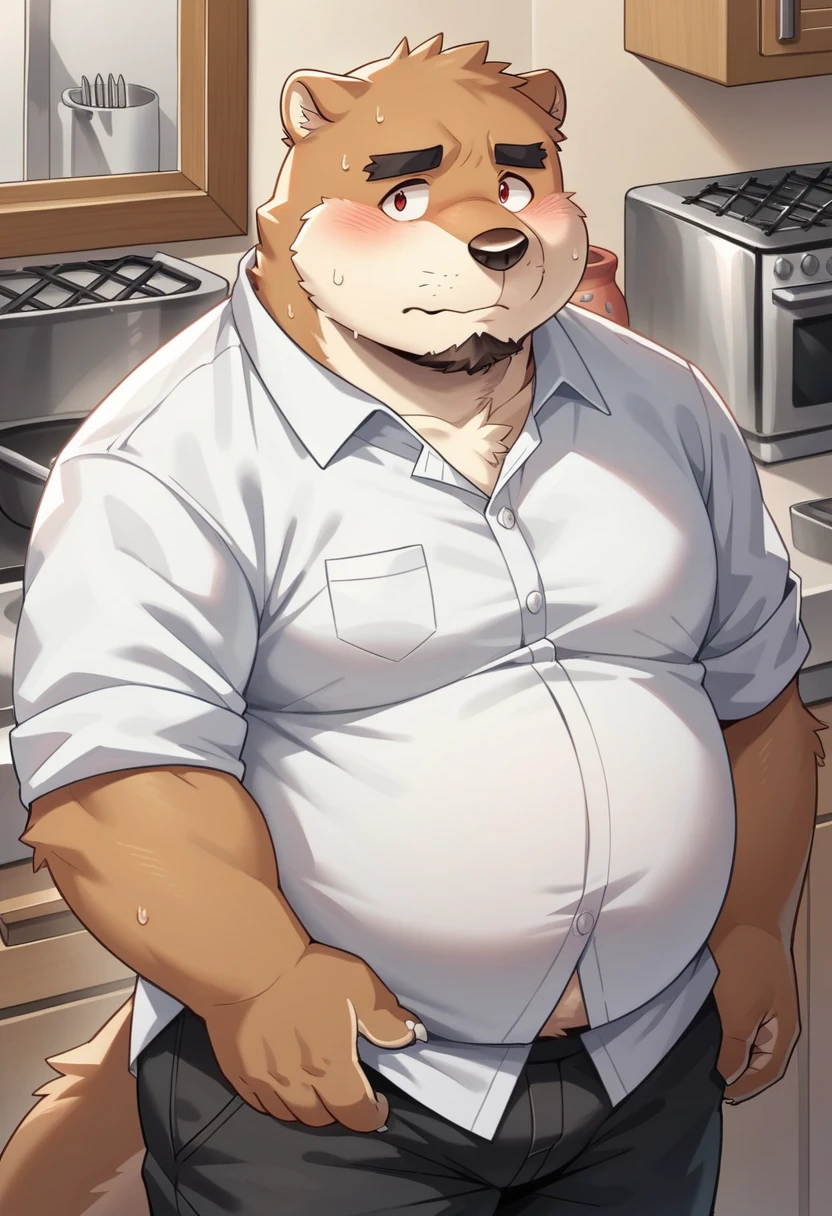 New Jersey 5 Furry,(otters)，Solitary，Wildlife，Chubby body，Round belly，Thick Arms，luxury，Chubby cheeks，beard，Mature，Black eyebrows，Red Eyes，Shy expression，（White shirt，Black pants），(((kitchen)))，（Sweat）,From Zixiong, Takemoto Arashi