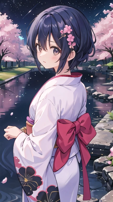 One girl, a distant girl kiss girl in a kimono gazing at the performer, (zoom: 1.1), (meteor群: 1.2), (comet: 1.1), yourname, Low - Angle, From behind, Aurora, meteor, yukata, Red kimono, cherry blossoms, Standing in the field, Highest quality, masterpiece, cloud, colorful, Starry sky, performer,