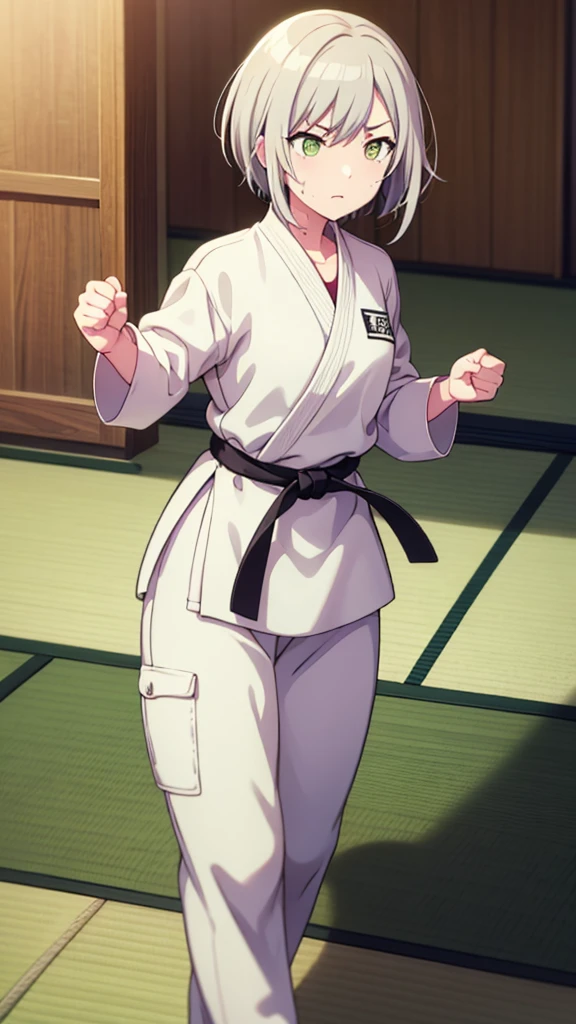 ((masterpiece, Highest quality, Very detailed, Very nice 8K CG wallpaper)), , A little thick, Medium Hair, White Hair, short hair, Yellow-green eyes,judo player、長袖judo着、Large bust、ロングjudoパンツ、judo、Serious expression、Inside the judo Gymnasium、、On the tatami、discovery、One Girl、Combat Stance、A tough fight、Hinomori Shiho、Bust size: B cup、Clenched hands(punch:1.3)、Spread your legs、Sweating