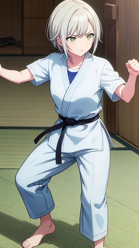 ((masterpiece, Highest quality, Very detailed, Very nice 8K CG wallpaper)), , A little thick, Medium Hair, White Hair, short hair, Yellow-green eyes,judo player、長袖judo着、Large bust、ロングjudoパンツ、judo、Serious expression、Inside the judo Gymnasium、、On the tatami、discovery、One Girl、Combat Stance、A tough fight、Hinomori Shiho、Bust size: B cup、Clenched hands(punch:1.3)、Spread your legs