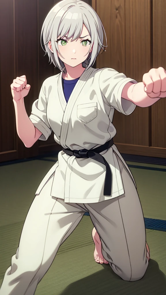 ((masterpiece, Highest quality, Very detailed, Very nice 8K CG wallpaper)), , A little thick, Medium Hair, White Hair, short hair, Yellow-green eyes,judo player、長袖judo着、Large bust、ロングjudoパンツ、judo、Serious expression、Inside the judo Gymnasium、、On the tatami、discovery、One Girl、Combat Stance、A tough fight、Hinomori Shiho、Bust size: B cup、Clenched hands(punch:1.3)、Spread your legs