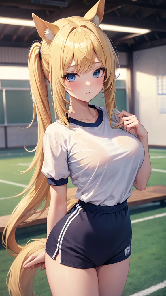 ((masterpiece)), best quality, ((high resolution)), 4k, detailed beautiful face and eyes, 1girl, horse girl, ((blonde hair)), medium hair, ((hair intakes)), ((ducktail)), side bangs, ((horse ear)), animal ear, ((horse tail)), animal tail, blue eyes, medium skin, wiry, large breasts, school gym clothes, ((school gym buruma)), sports ground,