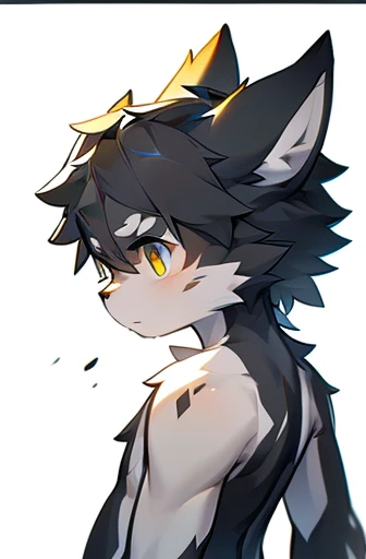 masterpiece, character focus, Solitary, Hairy male wolf, Black and gray fur, Golden Eyes, Black hair, nude, Young Style, Young Boy,muscular，Slim ，cell-shaded, vector，Line Art, Concept Art, full-body shot, Multiple facial photos, White background, Character Reference Form
