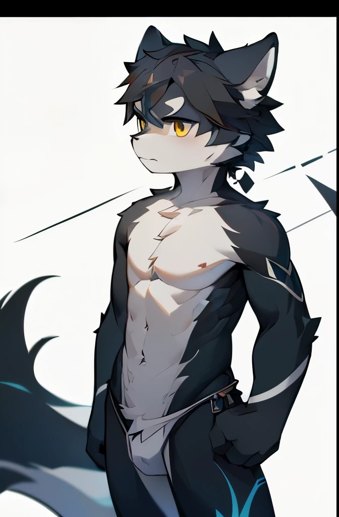 masterpiece, character focus, Solitary, Hairy male wolf, Black and gray fur, Golden Eyes, Black hair, nude, Young Style, Young Boy,muscular，Slim ，cell-shaded, vector，Line Art, Concept Art, full-body shot, Multiple facial photos, White background, Character Reference Form
