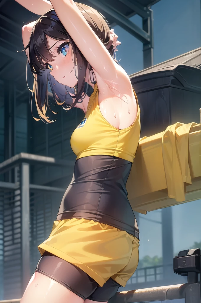Murcise_Ark of Tomorrow, (Yellow eyes:1.5), Long hair, Side Breast, (Medium breasts:1.2),
rest ((Bike shorts:1.4)), (Sports Tops:1.5),
rest looking at viewer, (Side view), (Profile View), (Put your hands in your hair), Sweating body, wet, ((giggle)), Sweating, (Sweating armpits:1.4),
rest (masterpiece:1.2), best quality, high resolution, Unity 8K wallpaper, (illustration:0.8), (Beautiful and delicate eyes:1.6), Extremely detailed face, Perfect lighting, Extremely detailed CG, (Perfect anatomical structure), , (Large Breasts),(because I'Thin)