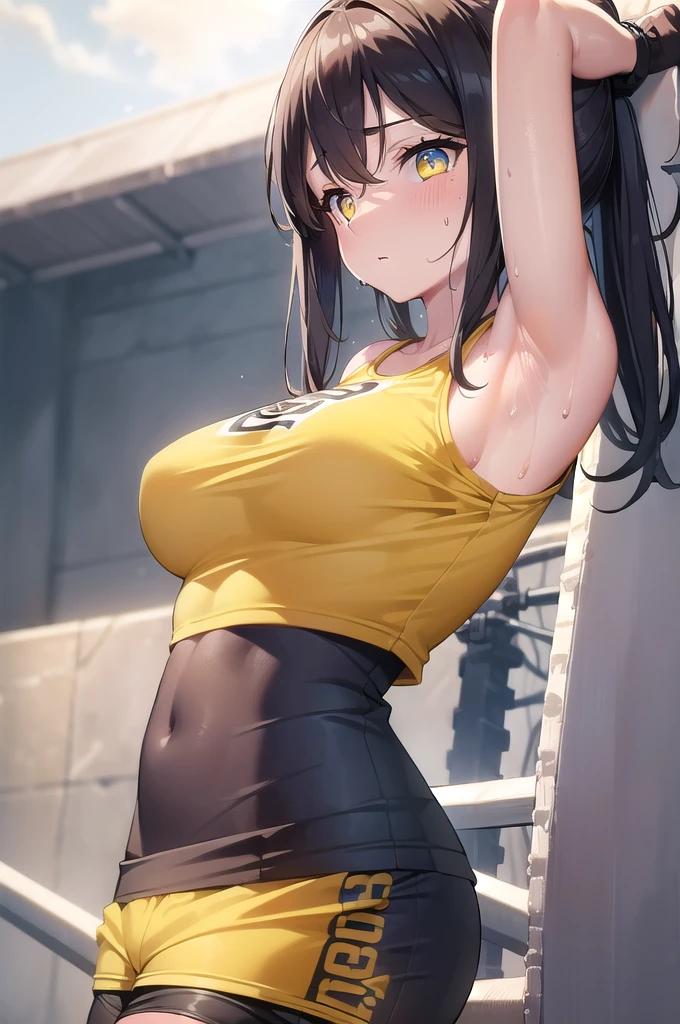 Murcise_Ark of Tomorrow, (Yellow eyes:1.5), Long hair, Side Breast, (Medium breasts:1.2),
rest ((Bike shorts:1.4)), (Sports Tops:1.5),
rest looking at viewer, (Side view), (Profile View), (Put your hands in your hair), Sweating body, wet, ((giggle)), Sweating, (Sweating armpits:1.4),
rest (masterpiece:1.2), best quality, high resolution, Unity 8K wallpaper, (illustration:0.8), (Beautiful and delicate eyes:1.6), Extremely detailed face, Perfect lighting, Extremely detailed CG, (Perfect anatomical structure), , (Large Breasts),(because I'Thin)
