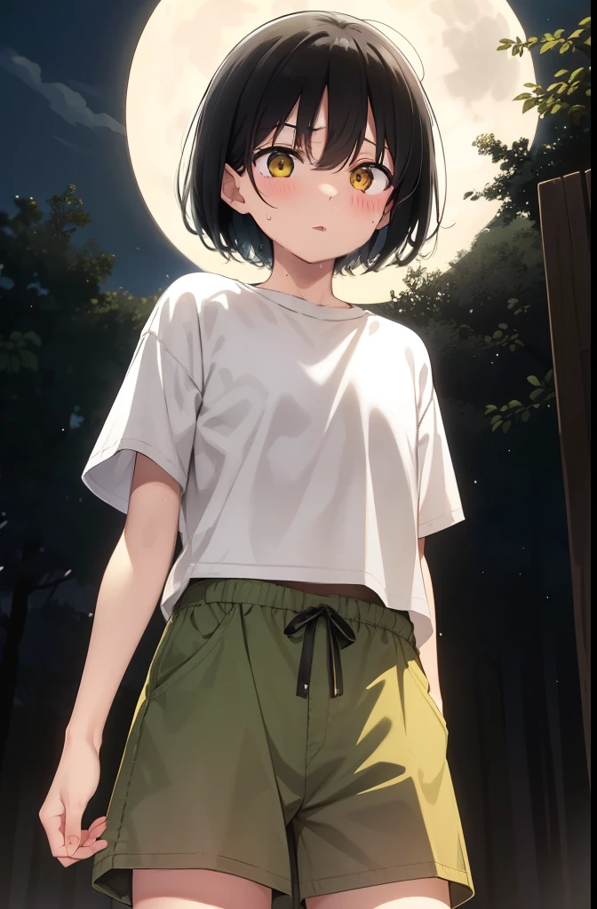 forest,Surprised,Are standing,put your hands behind your back,Yellow Eyes,1. small ,short hair,Black Hair,blush,White T-shirt,Olive green shorts,White skin,From below,shy,Cowboy Shot,night中,night,moon,Open your mouth,Sweat