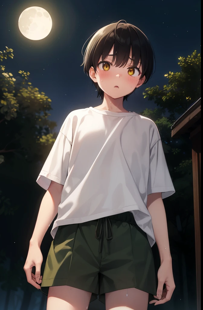 forest,Surprised,Are standing,put your hands behind your back,Yellow Eyes,1. small ,short hair,Black Hair,blush,White T-shirt,Olive green shorts,White skin,From below,shy,Cowboy Shot,night中,night,moon,Open your mouth,Sweat,shy,