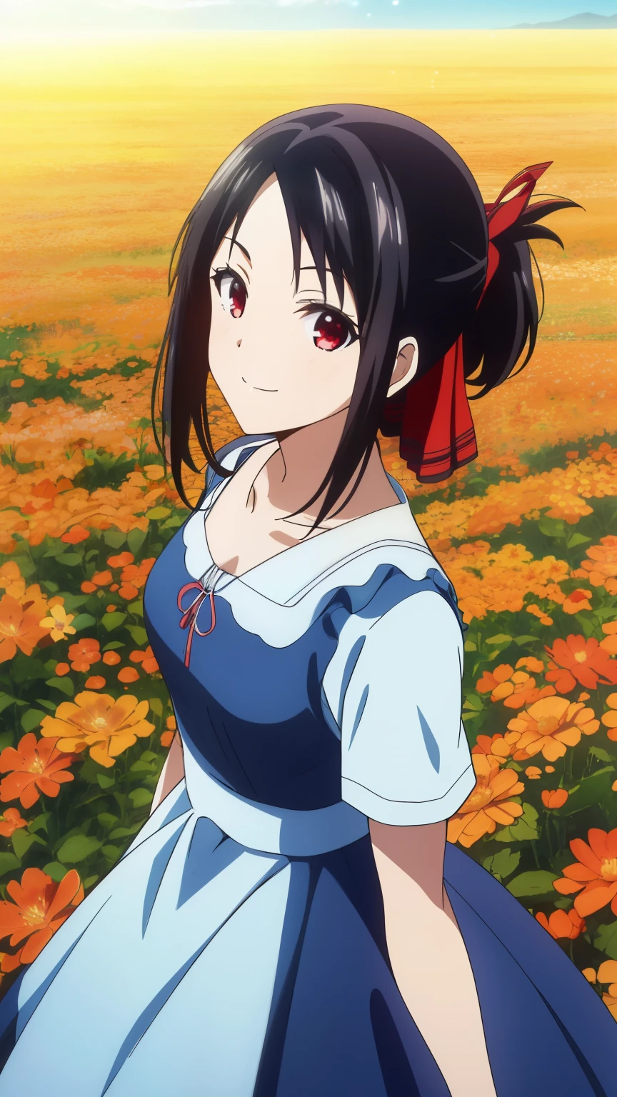 (best quality, masterpiece, 8k:1.2), (anime:1.2), detailed, Shinomiya Kaguya,1girl, solo, (black hair:1.2), side Lock, red eyes, short hair, folded ponytail, red hair ribbon, eye light, small medium breasts, (dress, outdoors, flower field, smile), 
Definition CG Unity, Perfect lit, bright_front_face_lit,Super detailed, photograph, 8K, nffsw, High resolution, (absurd:1.2), kodak portrait 400, film grain, Lens flare, (lively_color:1.2), looking at the viewer, (cowboy shot:1.2), dynamic angle, 