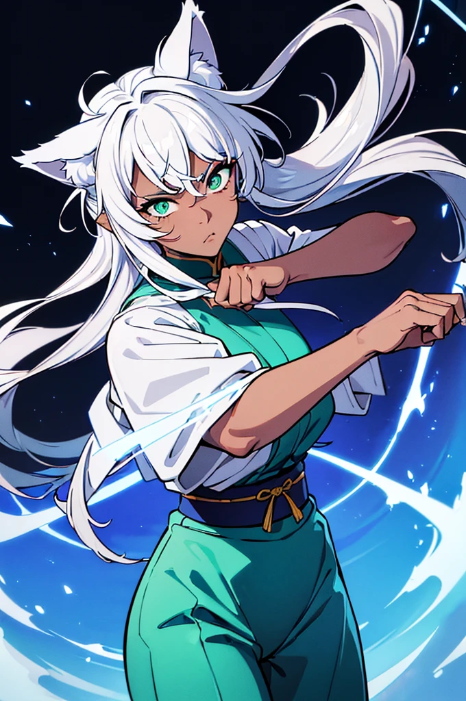 1girl, blood, light particles, light rays, wallpaper, high contrast, colorful,(looking at viewer, upper body), (wolf_ears, wolf_tail):1.7, (big_eyes, green_eyes, dark_skin, athletic_body), (fierce_look), (long_hair, white_hair, japanese_hairstyle, undercut_hair), ((((fighting_pose, fighting_stance, fighting, magic_attack, magic_aura, aura)))), (chinese fantasy outfit, fighter outfit, blue_pants, lightblue and yellow clothes, tribal_clothes, bandages on forearms, bandages on forelegs), (monk_girl), (beautiful_girl)