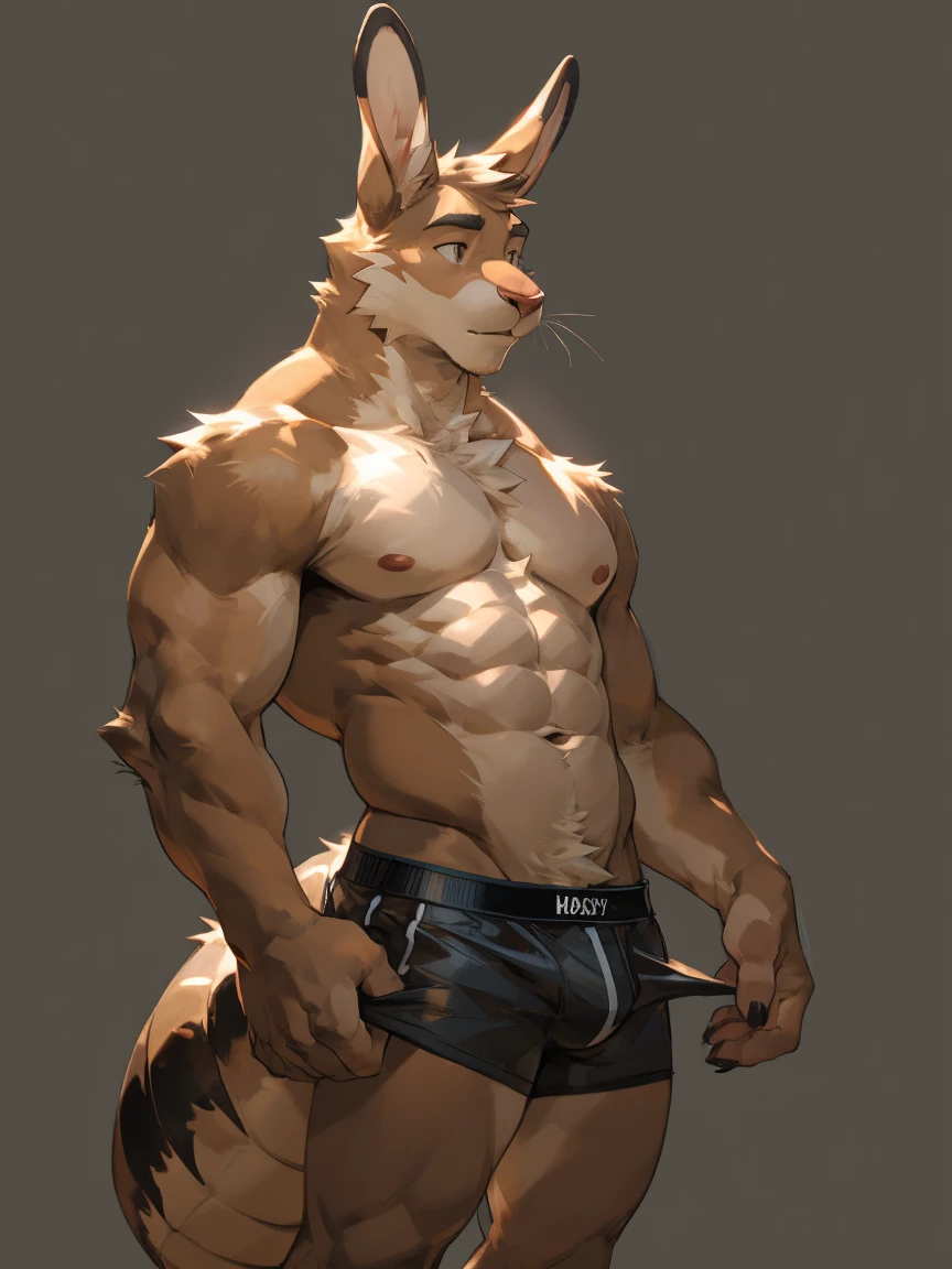 Solo, male, Light brown hare, in one color tone, long ears, shirtless, ((focus face, furry focus, abdomen focus, abs)) without shirt, thin, slim body, male chest, abdomen, abs, in black underwear, showing his underwear, pulling down his underwear, showing his entrances, sensualizing (((gray background, gray wallpaper, one color))), by darkgem, by mystikfox61, by glitter trap boy