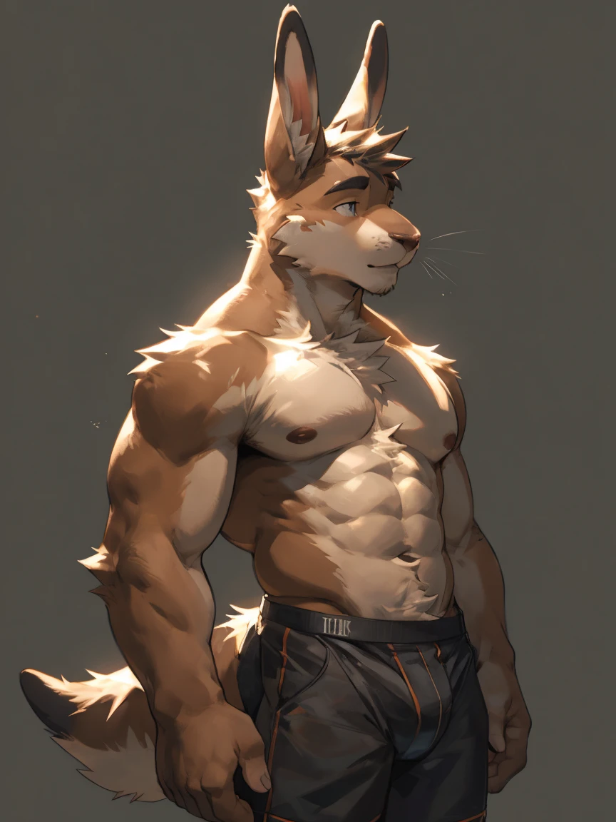 Solo, male, Light brown hare, in one color tone, long ears, shirtless, without shirt, thin, slim body, male chest, abdomen, abs, in black underwear, taking off underwear, hands, showing his entrances, sensualizing (((gray background, gray wallpaper, one color))), by darkgem, by mystikfox61, by glitter trap boy