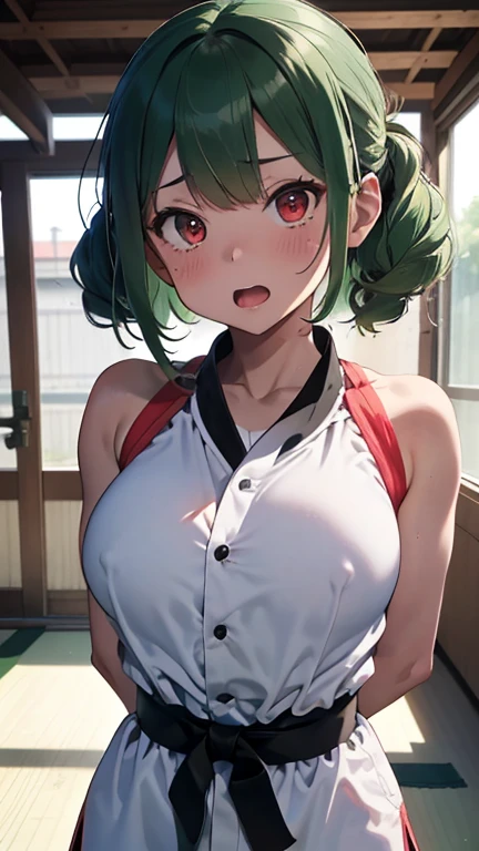mastute piece,Best Quality,insanely detailed,8k cg,nsfw,
(shoot upper body:1.3),
(1girls:1.3),standing,looking at viewr,body in front,(arms behind back:1.4),(Judo uniform:1.3,doges:1.3),judo:1.3、BREAK,
blush,shy,(ecstasy face),(trembling:1.2),BREAK,(light green hair:1.3),
BREAK,
perfect breasts,perfect teats,(open mouth:0.9),(large breasts:1.2),
(judo dojo),judo道場、