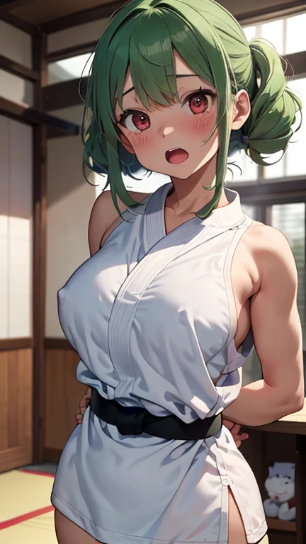 mastute piece,Best Quality,insanely detailed,8k cg,nsfw,
(shoot upper body:1.3),
(1girls:1.3),standing,looking at viewr,body in front,(arms behind back:1.4),(Judo uniform:1.3,doges:1.3),judo:1.3、BREAK,
blush,shy,(ecstasy face),(trembling:1.2),BREAK,(light green hair:1.3),
BREAK,
perfect breasts,perfect teats,(open mouth:0.9),(large breasts:1.2),
(judo dojo),judo道場、
