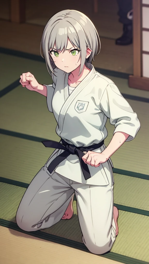 ((masterpiece, Highest quality, Very detailed, Very nice 8K CG wallpaper)), , A little thick, Medium Hair, Gray Hair, short hair, Yellow-green eyes,judo player、長袖judo着、Large bust、ロングjudoパンツ、judo、Serious expression、Inside the judo Gymnasium、、On the tatami、discovery、One Girl、Combat Stance、A tough fight、Hinomori Shiho、Bust size: B cup、Clenched hands(punch:1.3)、Spread your legs、Sweating