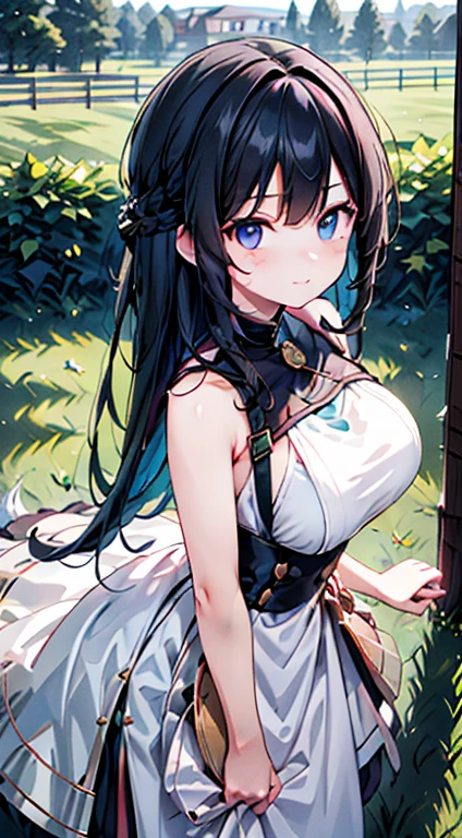 1girl,bangs,bare_shoulders,black_hair,blue_eyes,blue_sky,blush,closed_mouth,cloud,cloudy_sky,condensation_trail,day,dress,eyebrows_visible_through_hair,field,long_hair,looking_at_viewer,outdoors,sky,sleeveless,sleeveless_dress,smile,solo,white_dress,((BDSM,shibari)),