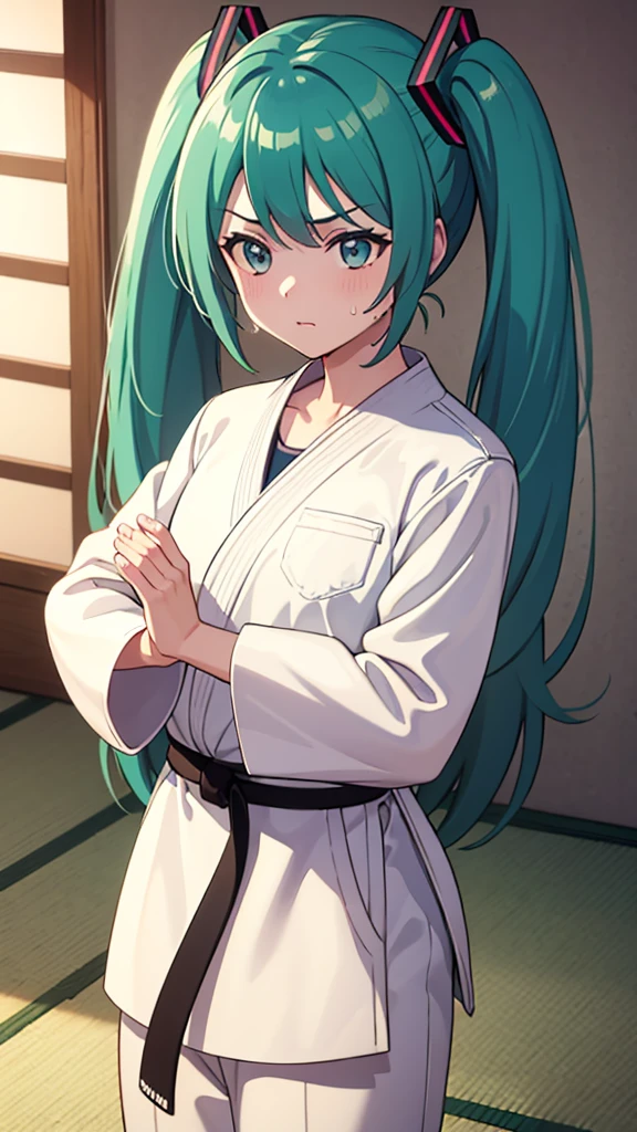 ((masterpiece, Highest quality, Very detailed, Very nice 8K CG wallpaper)), , A little thick, Medium Hair, Super light mint hair, short hair, Very light mint eyes,judo player、長袖judo着、Large bust、ロングjudoパンツ、judo、Serious expression、Inside the judo Gymnasium、、On the tatami、discovery、One Girl、Ready for battle、A tough fight、Hatsune Miku、Bust size: B cup、Sweating