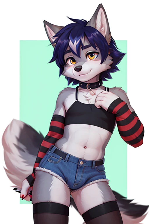 femboy, wolf boy, short shorts, crop top, flat chested, thigh highs, arm warmers, tight collar, crotch bulge