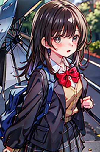 One Girl, solo, school uniform, Long sleeve, Black-haired,Pure,Big eyes,Skirt Grey, blush, (Absurd), (there is nothing), Looking at the audience, Walk in the park, (Ultra High Definition CG Integrated 8K Wallpaper,masterpiece, Best image quality, Ultra-detailed),Big Breasts