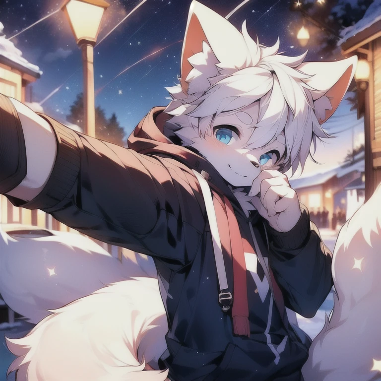 (Starry_Sky, moon, new moon_moon, night_Sky, night, shooting_Star, Sky, galaxy,fireworks, Starry_Sky_Print), male_Key Points,hairy, 1 boy,Solitary,  (detailed_background,Astonishing_background),White fur,  Fox Boy,  Grey Hoodie, Fox Tail,(Multi-tail), blue eyes, blue ears，White hair,detailed face,detailed eyes,Head tilt, from the side, SFW,